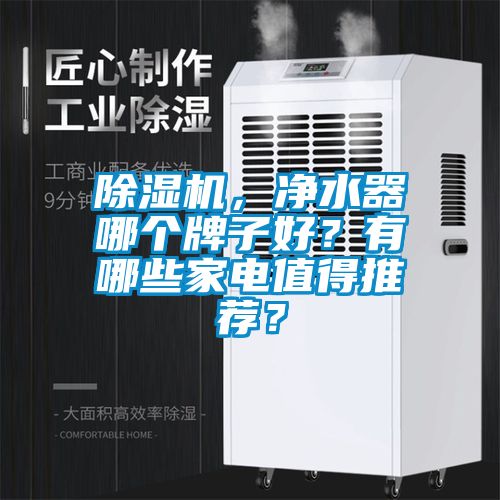 除濕機，凈水器哪個牌子好？有哪些家電值得推薦？